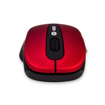 CBR CM 530 Bt Red