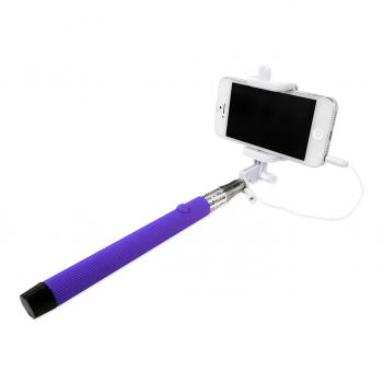 Human Friends Stave Purple