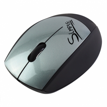 Simple S4 Silver